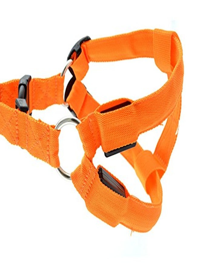 Futaba Dog LED Harness Flashing Light 3 Mode - Orange - Medium - Image 3